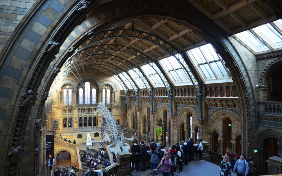 Top Free Things to do in London